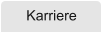 Karriere